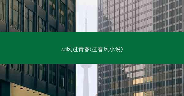 sd风过青春(过春风小说)