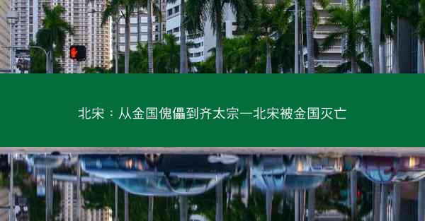 北宋：从金国傀儡到齐太宗—北宋被金国灭亡