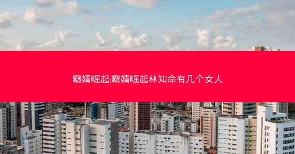 霸婿崛起;霸婿崛起林知命有几个女人